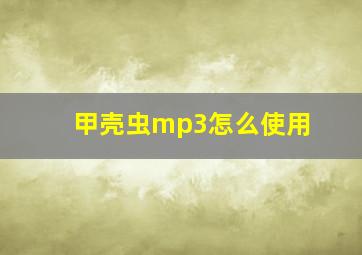 甲壳虫mp3怎么使用