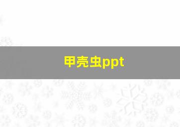 甲壳虫ppt