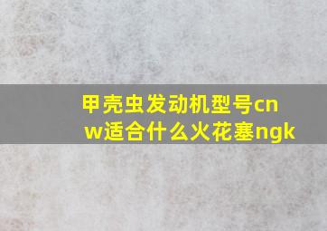 甲壳虫发动机型号cnw适合什么火花塞ngk