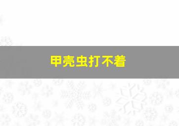 甲壳虫打不着