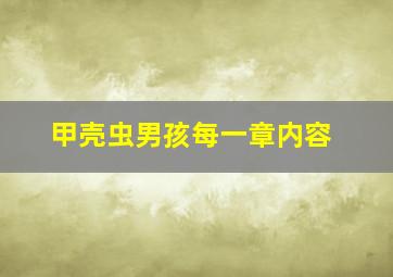 甲壳虫男孩每一章内容