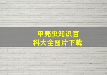 甲壳虫知识百科大全图片下载