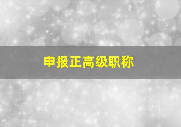 申报正高级职称