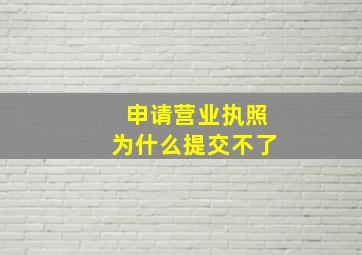 申请营业执照为什么提交不了