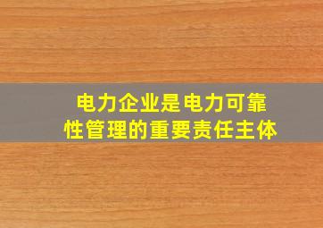 电力企业是电力可靠性管理的重要责任主体