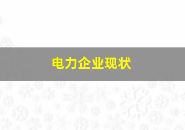 电力企业现状