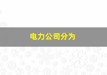 电力公司分为