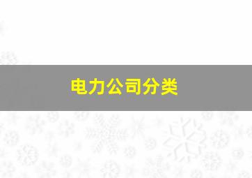 电力公司分类