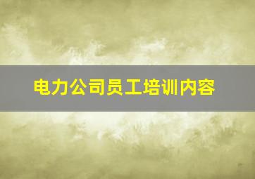 电力公司员工培训内容