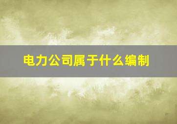 电力公司属于什么编制