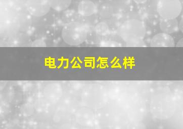 电力公司怎么样