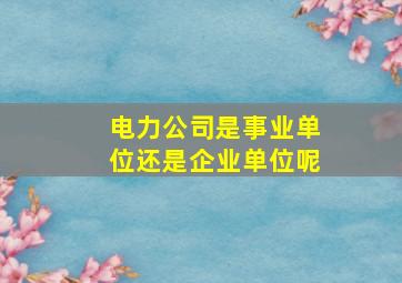 电力公司是事业单位还是企业单位呢