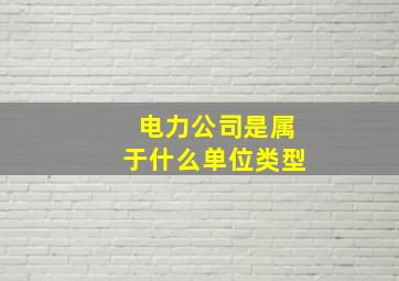 电力公司是属于什么单位类型