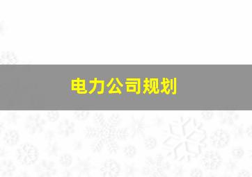 电力公司规划