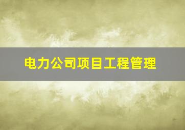 电力公司项目工程管理