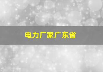 电力厂家广东省