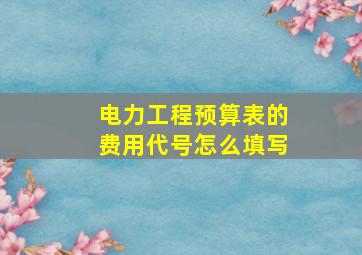 电力工程预算表的费用代号怎么填写