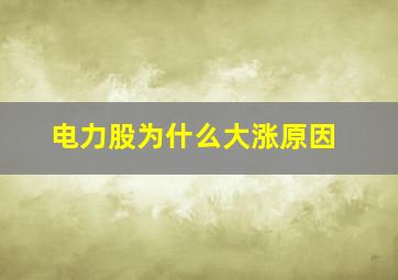 电力股为什么大涨原因