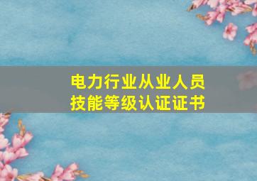 电力行业从业人员技能等级认证证书