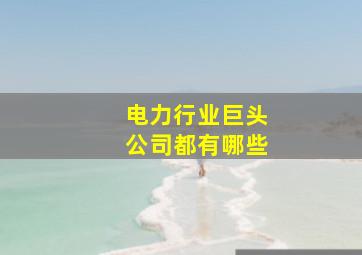 电力行业巨头公司都有哪些