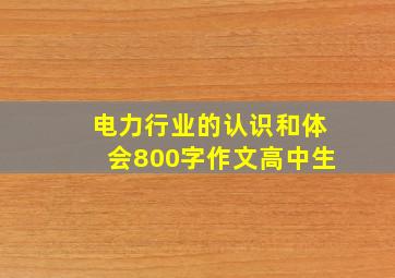 电力行业的认识和体会800字作文高中生