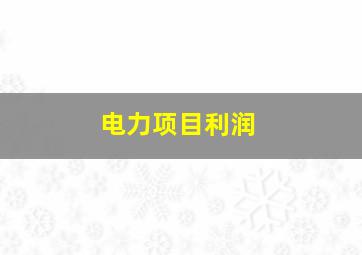 电力项目利润