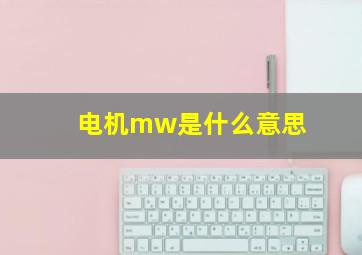 电机mw是什么意思