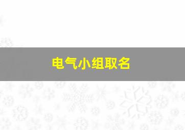 电气小组取名