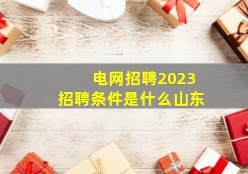 电网招聘2023招聘条件是什么山东