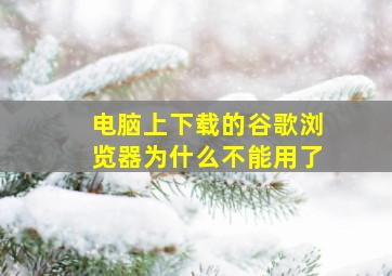 电脑上下载的谷歌浏览器为什么不能用了