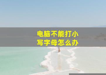 电脑不能打小写字母怎么办