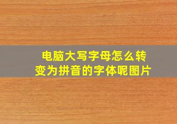 电脑大写字母怎么转变为拼音的字体呢图片