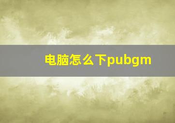 电脑怎么下pubgm