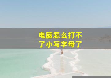 电脑怎么打不了小写字母了