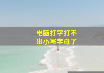 电脑打字打不出小写字母了