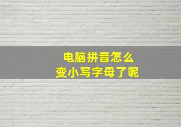 电脑拼音怎么变小写字母了呢