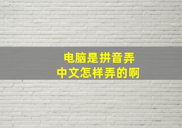 电脑是拼音弄中文怎样弄的啊