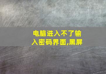 电脑进入不了输入密码界面,黑屏