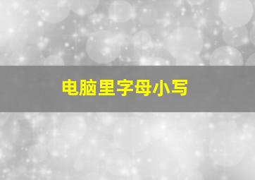 电脑里字母小写