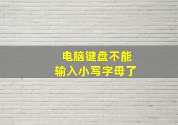 电脑键盘不能输入小写字母了