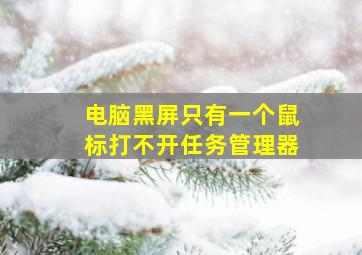 电脑黑屏只有一个鼠标打不开任务管理器