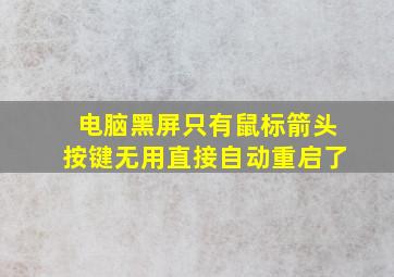 电脑黑屏只有鼠标箭头按键无用直接自动重启了