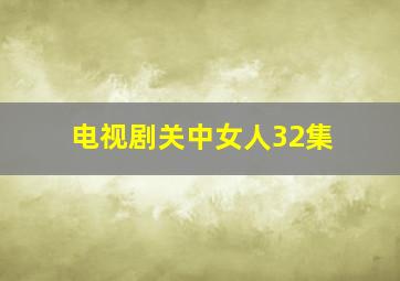 电视剧关中女人32集