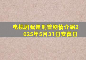 电视剧我是刑警剧情介绍2025年5月31日安葬日