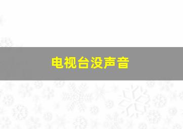 电视台没声音