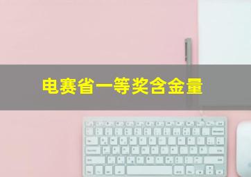 电赛省一等奖含金量