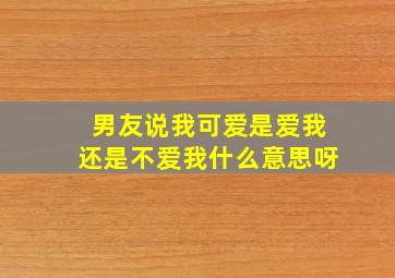 男友说我可爱是爱我还是不爱我什么意思呀