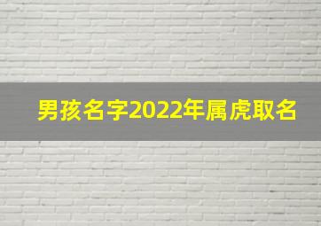 男孩名字2022年属虎取名