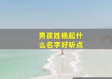 男孩姓杨起什么名字好听点