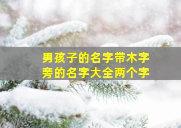 男孩子的名字带木字旁的名字大全两个字